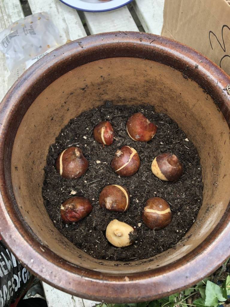 This image has an empty alt attribute; its file name is img_8382-1.jpg